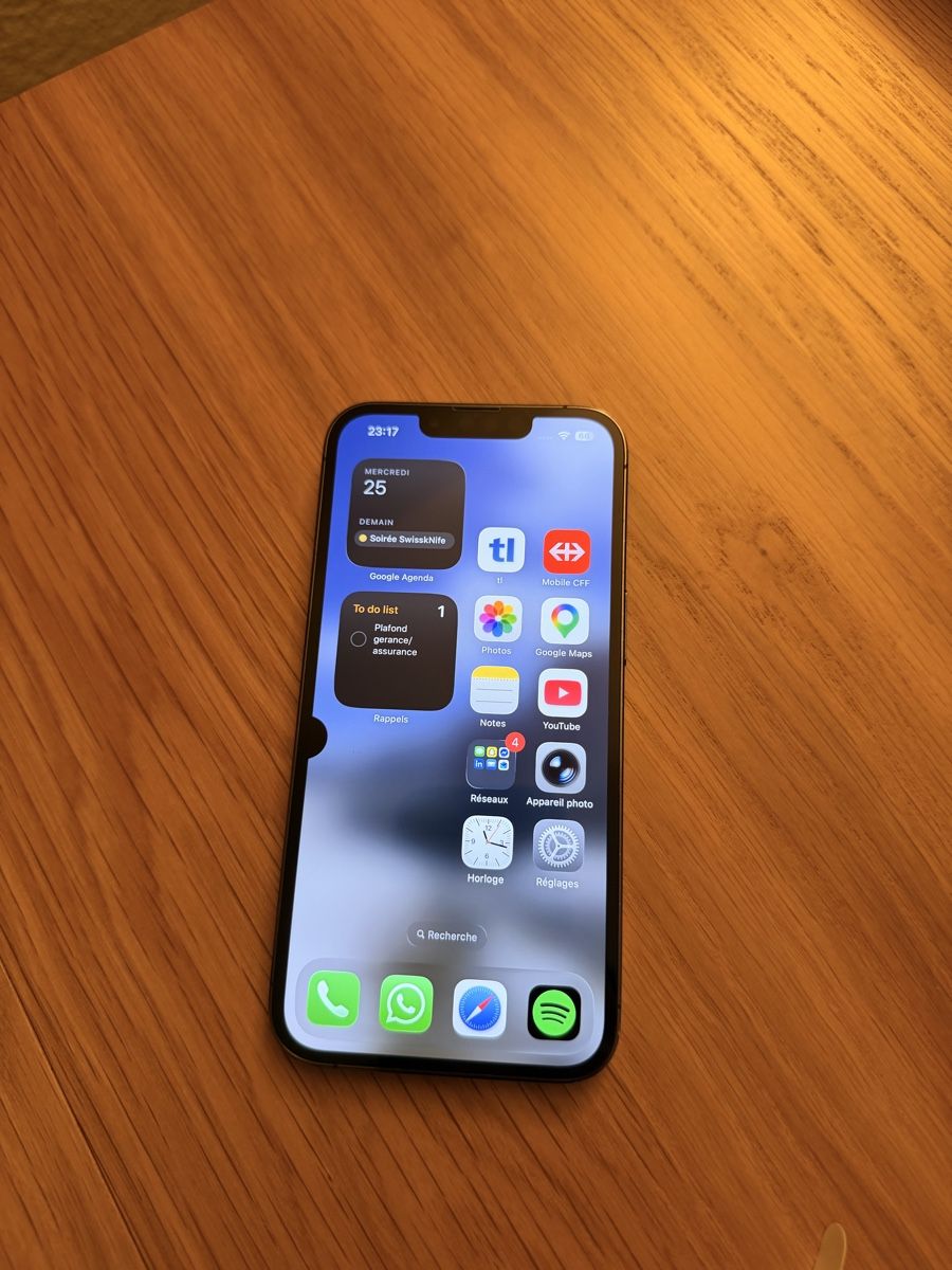 Apple Telefoni cellulari / Smartphones: iPhone 13 Pro 256 Go – Usato da Lausanne venduto da yan_r569 1