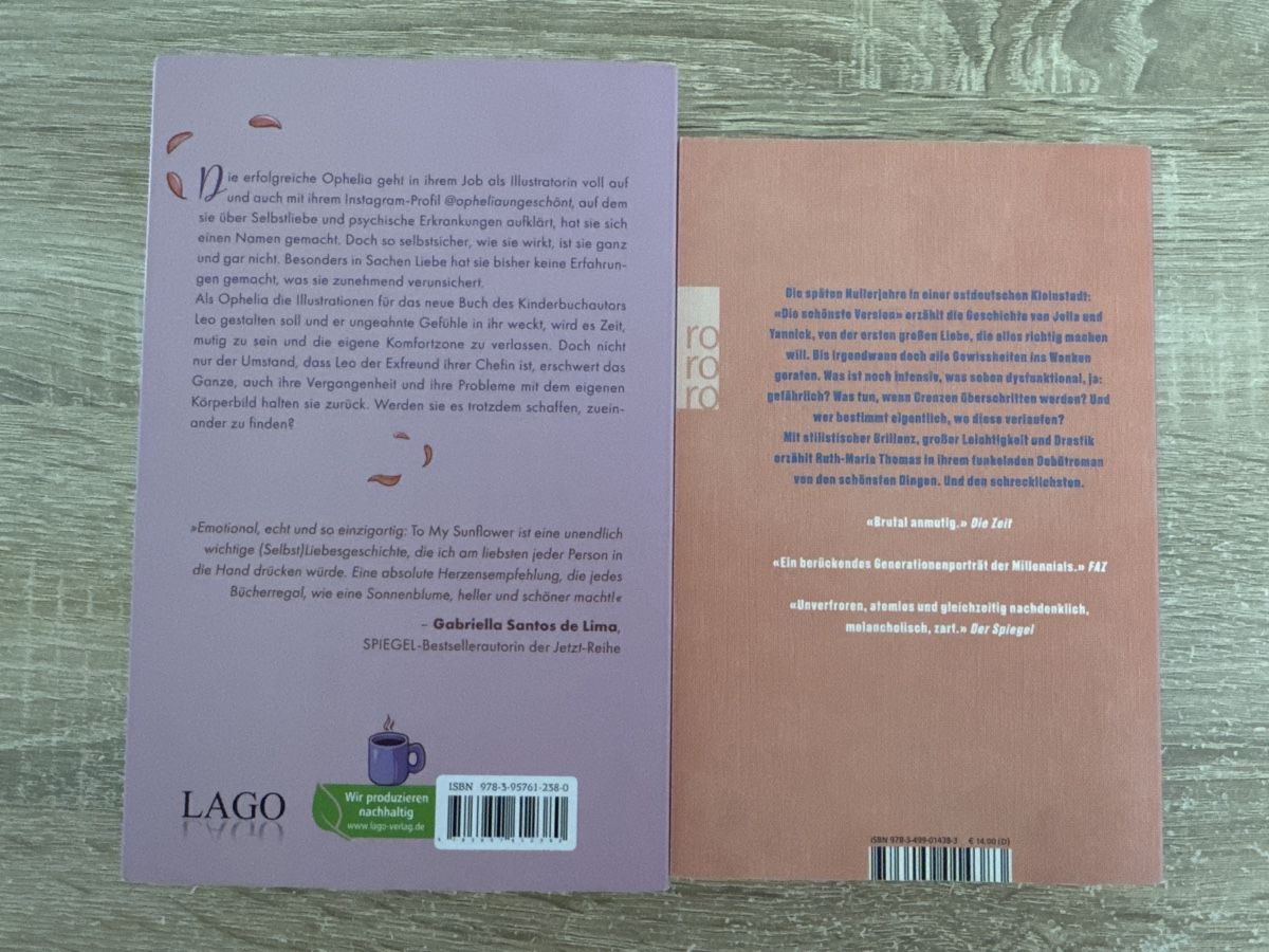 Livres: Zwei schöne Romane ✨ – D'occasion à Liestal par Jessivanaxx_ 1