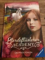 Buch- Pferdeflüsterer Academy Calypsos Fohlen