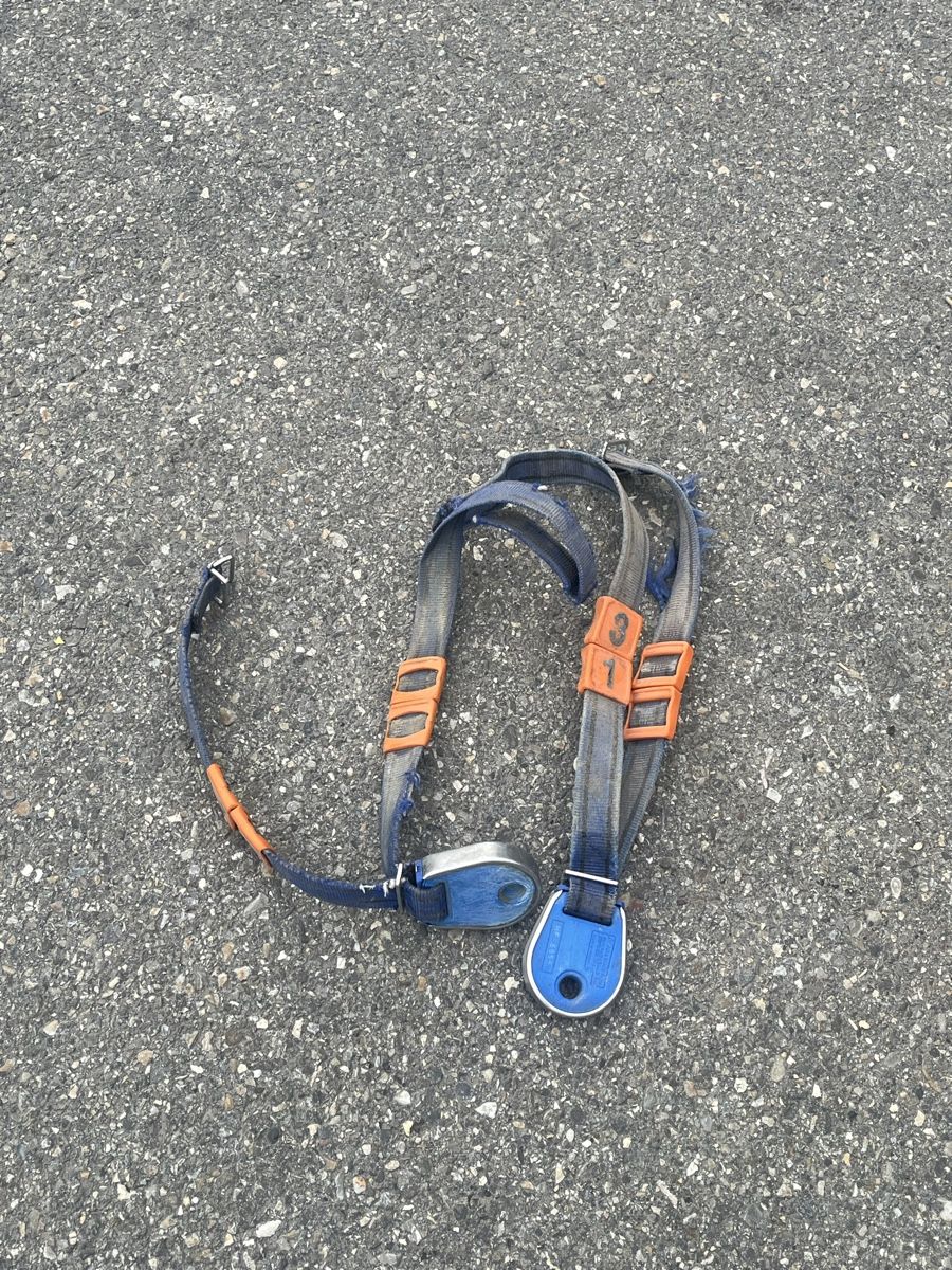 Delaval Tutte le macchine: Halsband mit Transponder DeLaval – Usato da Gänsbrunnen venduto da Hasenmatt29 1