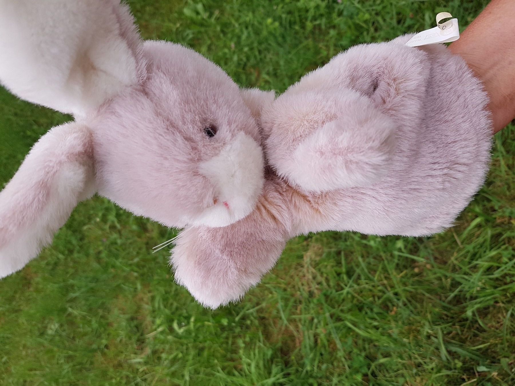 Bambole: Handpuppe Hase / NEU – Nuovo e nell'imballaggio originale da Dürrenäsch venduto da Didaedi 2
