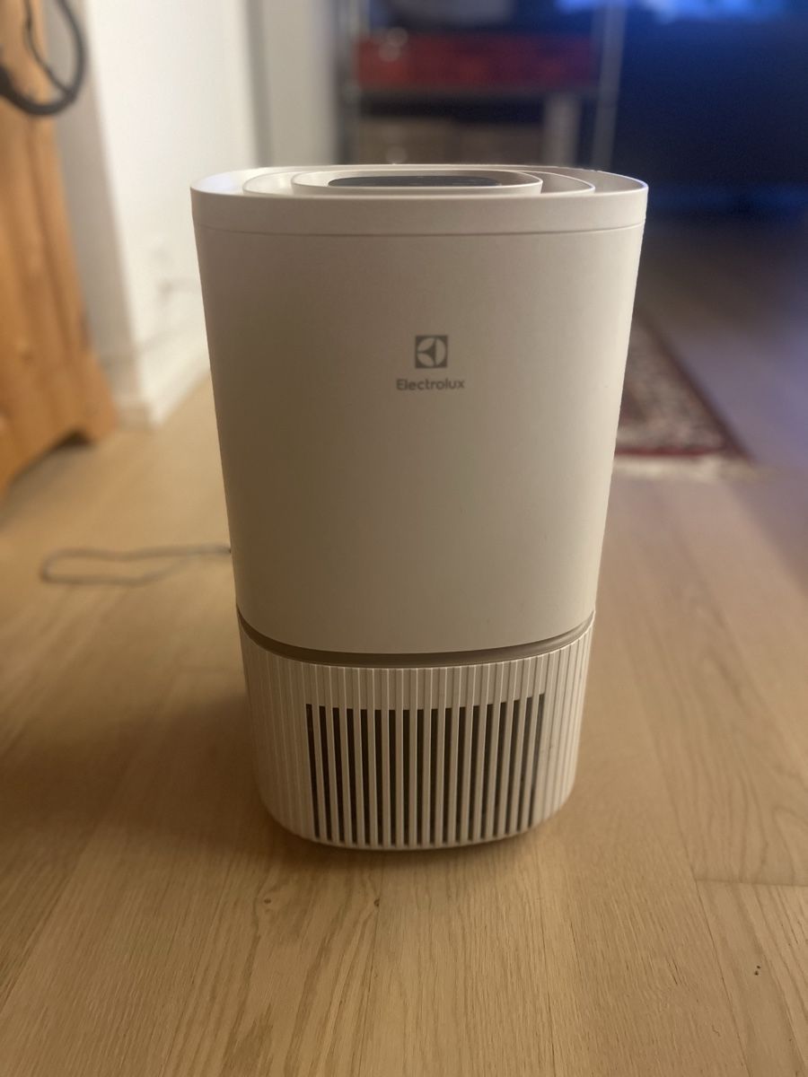 Electrolux Luftreiniger: Luftreiniger Electrolux – Gebraucht aus Winterthur von Lou_Be