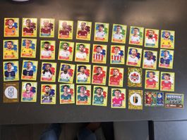 40 verschiedene Panini Sticker