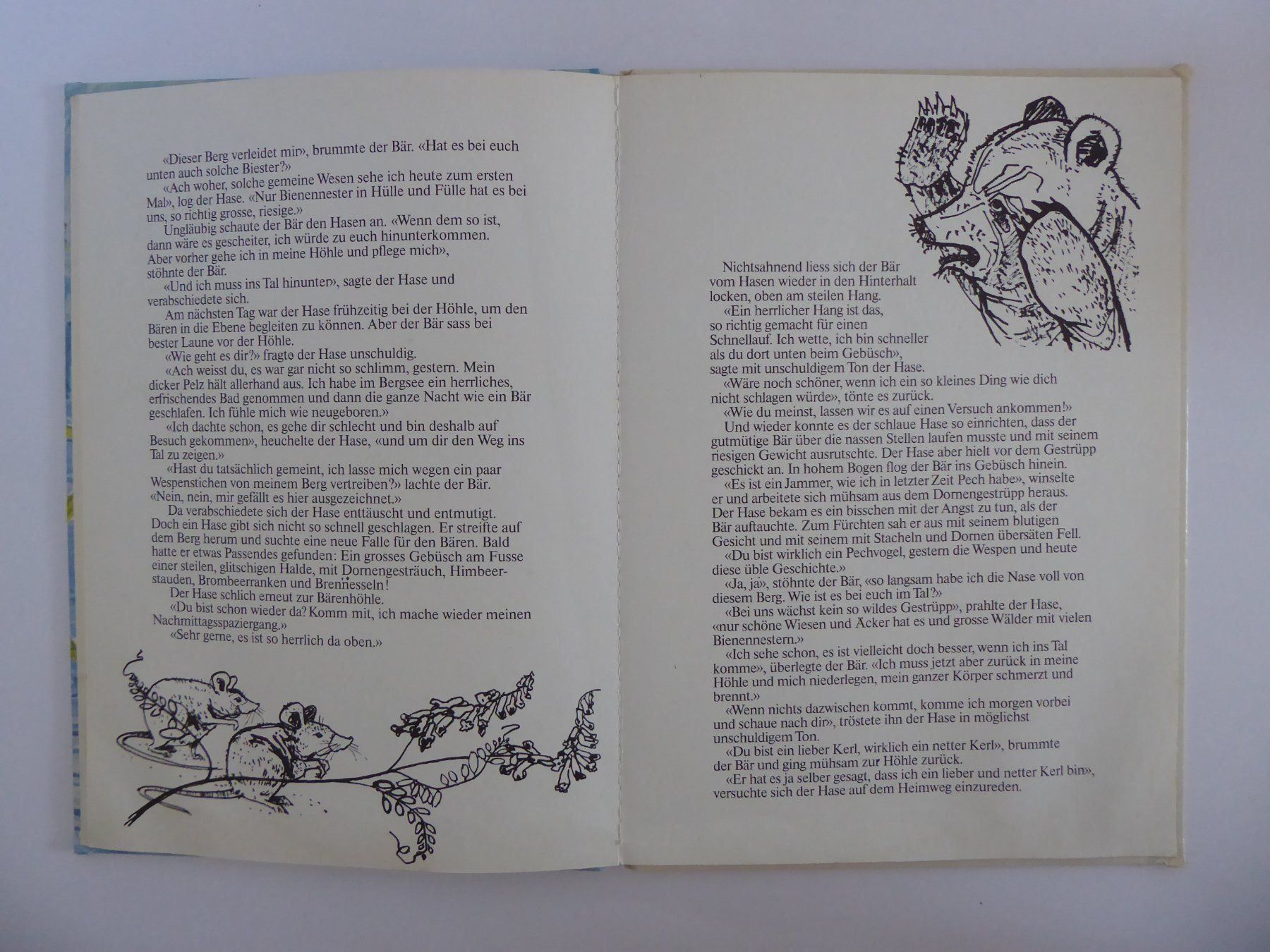 Bücher: Der Berg des grossen Bären, Classen 1976 – Gebraucht aus Turbenthal von Panau 3