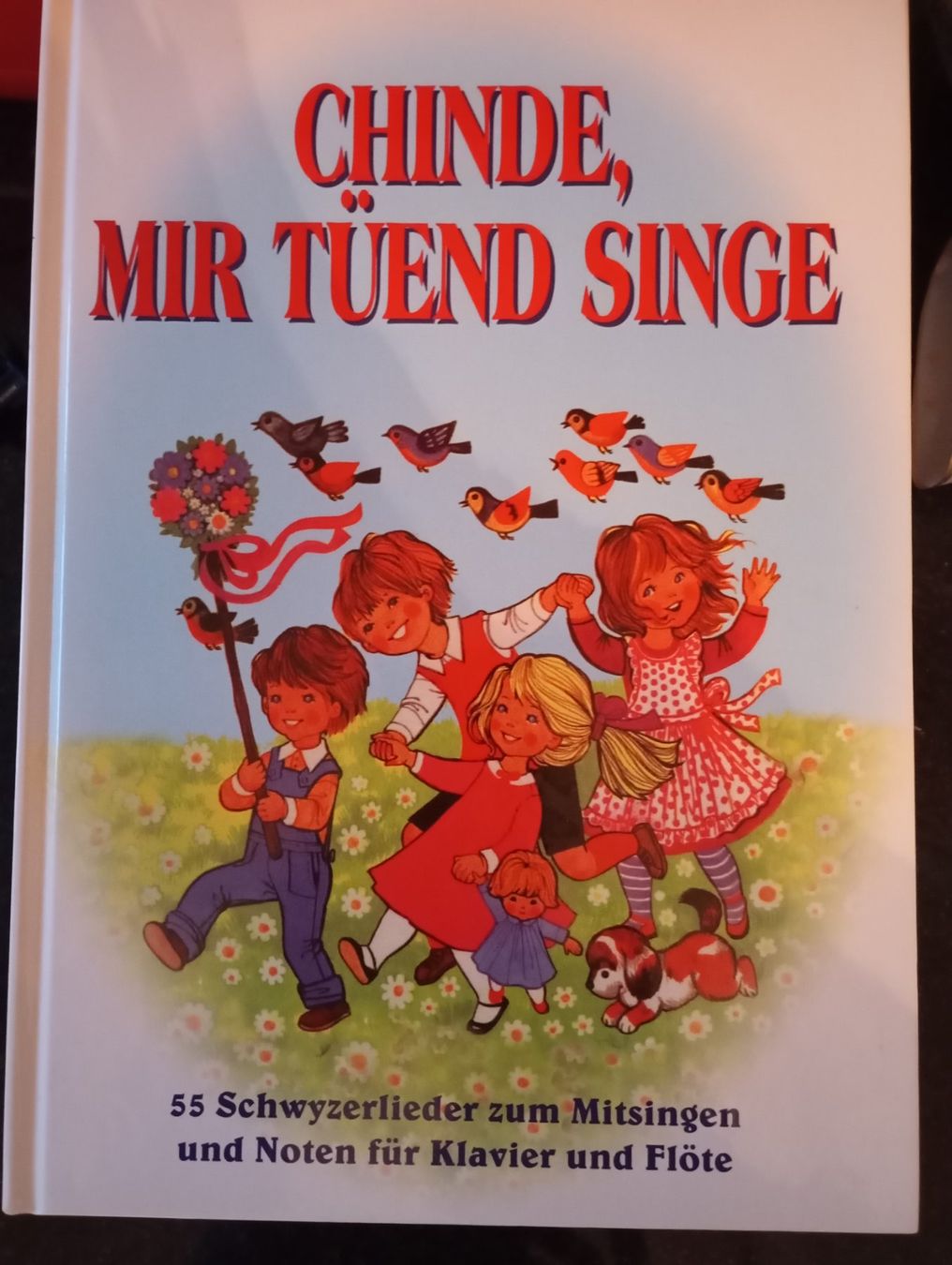 Libri: Kinderliederbuch "Chinde, mir tüend singe" – Usato da Dinhard venduto da R.B.G23