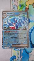 Palafin ex