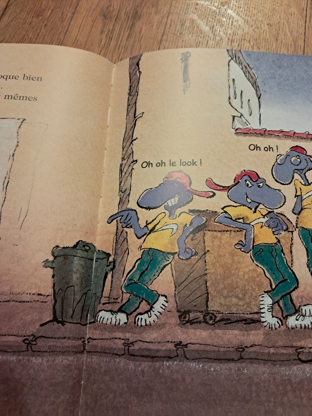 Libri: Livre enfant Chacun son look – Usato da Le locle venduto da juliensaran 2