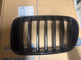 BMW X3 F25 Kühlergrill Nieren schwarz