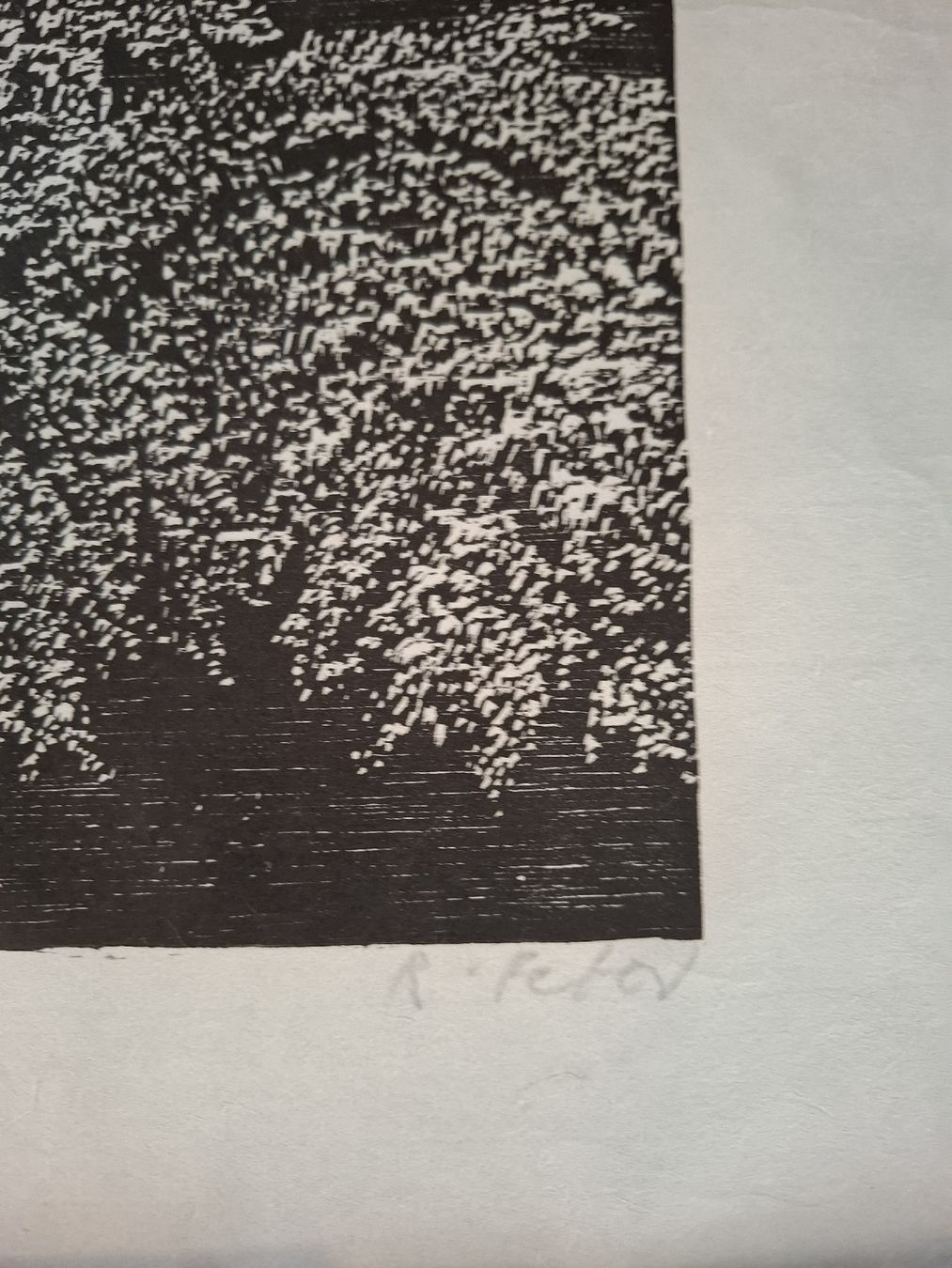 Xilografie: Holzschnitt Ruedi Peter  handsigniert, limi – Usato da Rorschacherberg venduto da Luckyhorse 3