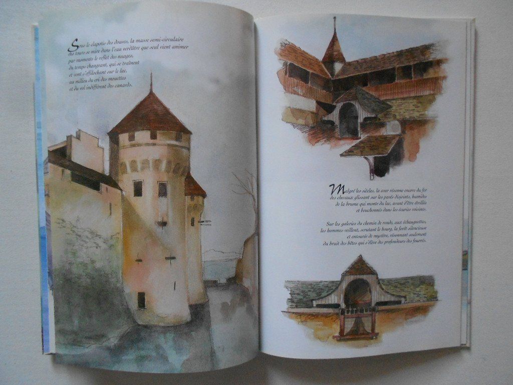 Libri: REGARD SUR... LE CHÂTEAU DE CHILLON – Usato da Bex venduto da Giorgiob 3