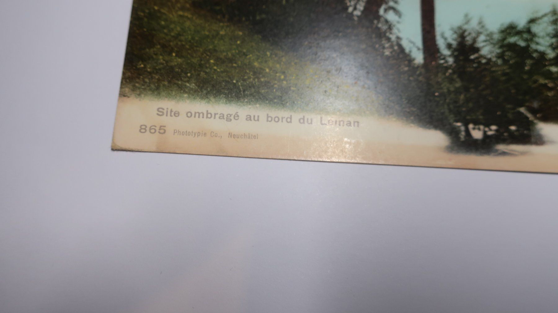Cartoline postali: Site ombragé au bord du Léman  1908 – Usato da Cormoret venduto da Pascalll2001 2