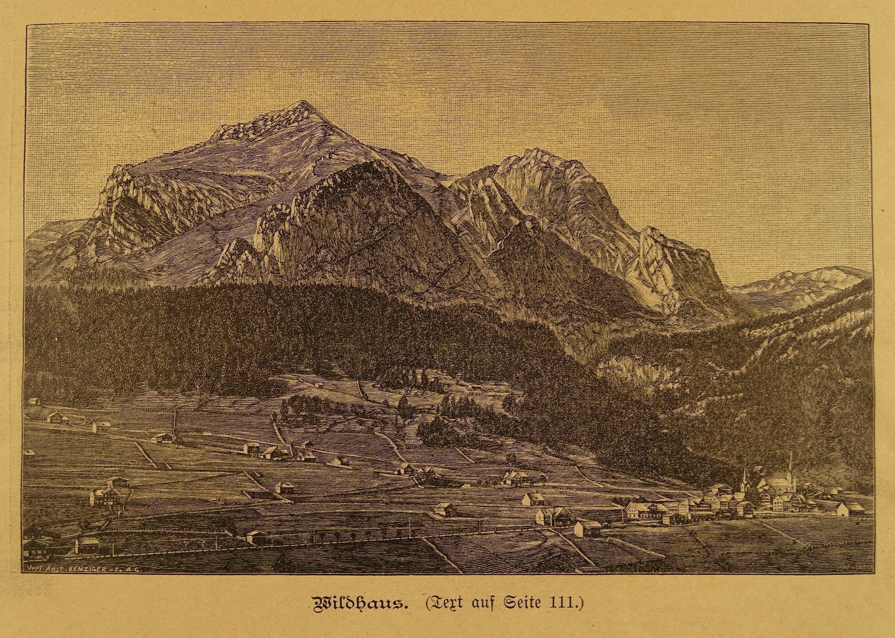 Incisioni: WILDHAUS, HOLZSTICH UM 1890 – Usato da Grüningen venduto da Kartensammler