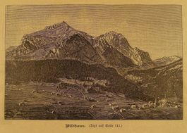 WILDHAUS, HOLZSTICH UM 1890