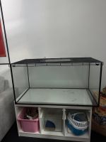 Hamster Käfig Terrarium für Nager
