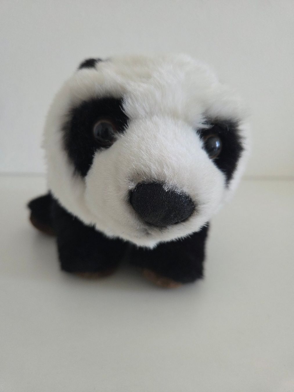 WWF Giocattoli: Plüschtier Panda von WWF – Usato da Oberrieden venduto da Smart570 2