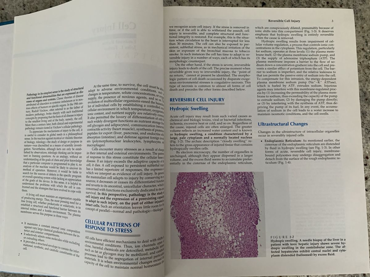 Libri: Pathology 2nd Edition Rubin & Farber Textbook – Usato da Genève venduto da sunsustains 5