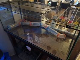 Grosses Hamster Terrarium mit Zubehör, Top Zustand!