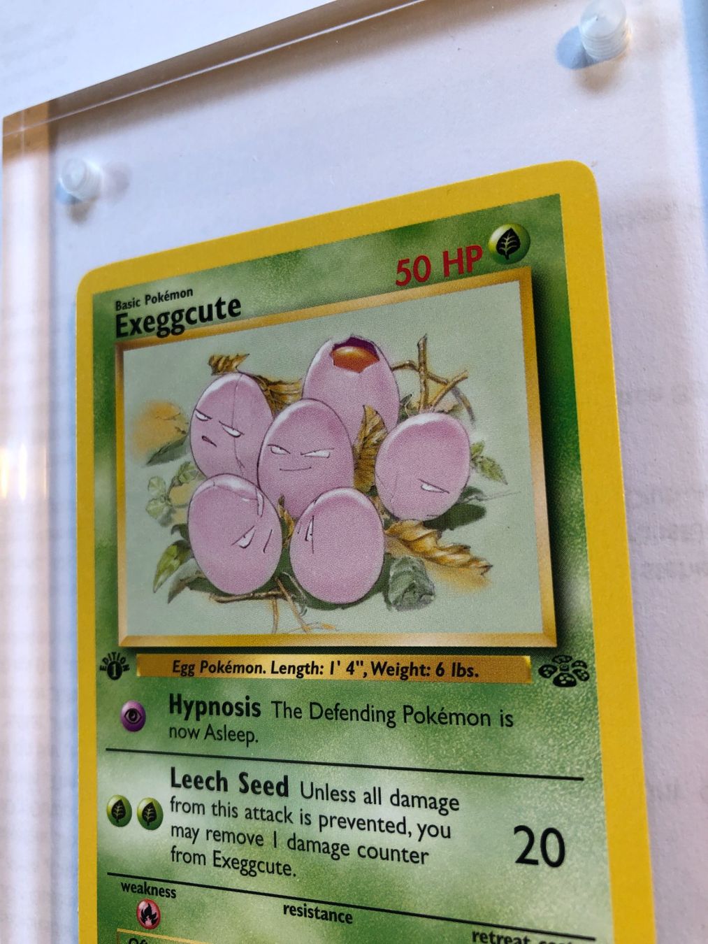 Cartes à collectionner: Exeggcute 1st Jungle - NM - ab 1.- – D'occasion à Giubiasco par dan_pr8b 3