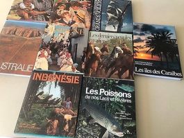 Lot de 9 livres mondo silva en parfait état