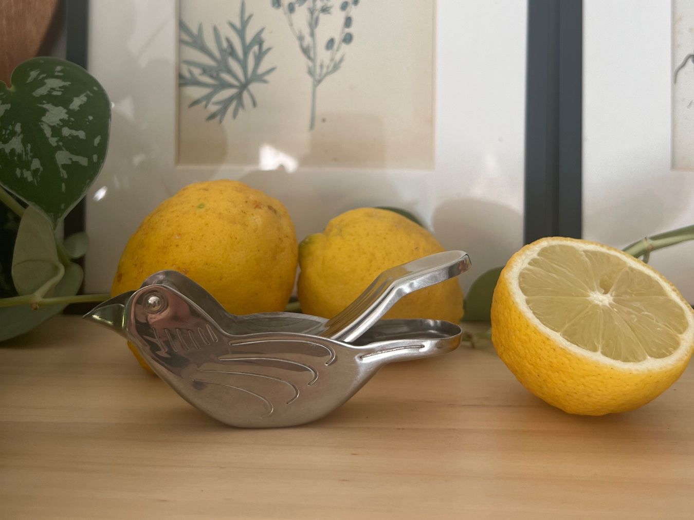 Tutte le decorazioni: Vintage lemon press – Usato da Zürich venduto da Zurich_TimeCapsule 1