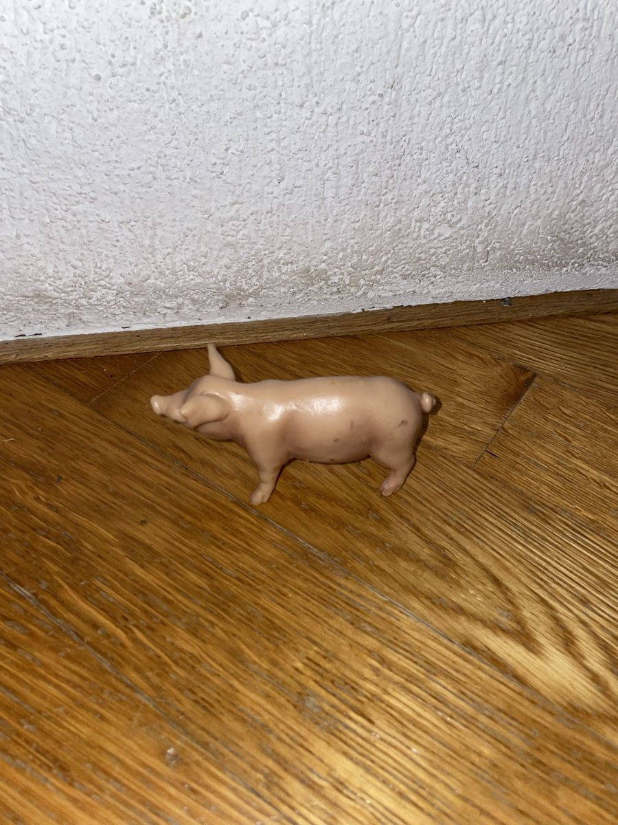 Schleich Jouets: Schleich Schwein 13208 – D'occasion à Adetswil par Mschnuffi 1