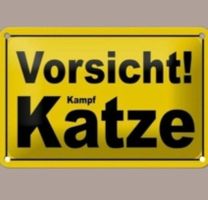 🔥 VORSICHT KAMPF KATZE Blechschild 🎀 12x18cm OVP 🔥