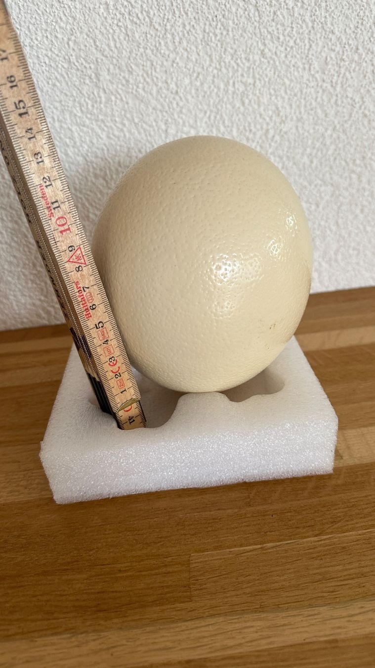 Tutte le decorazioni: Straussenei Natur – Usato da Winterthur venduto da Secondhand-Family 1