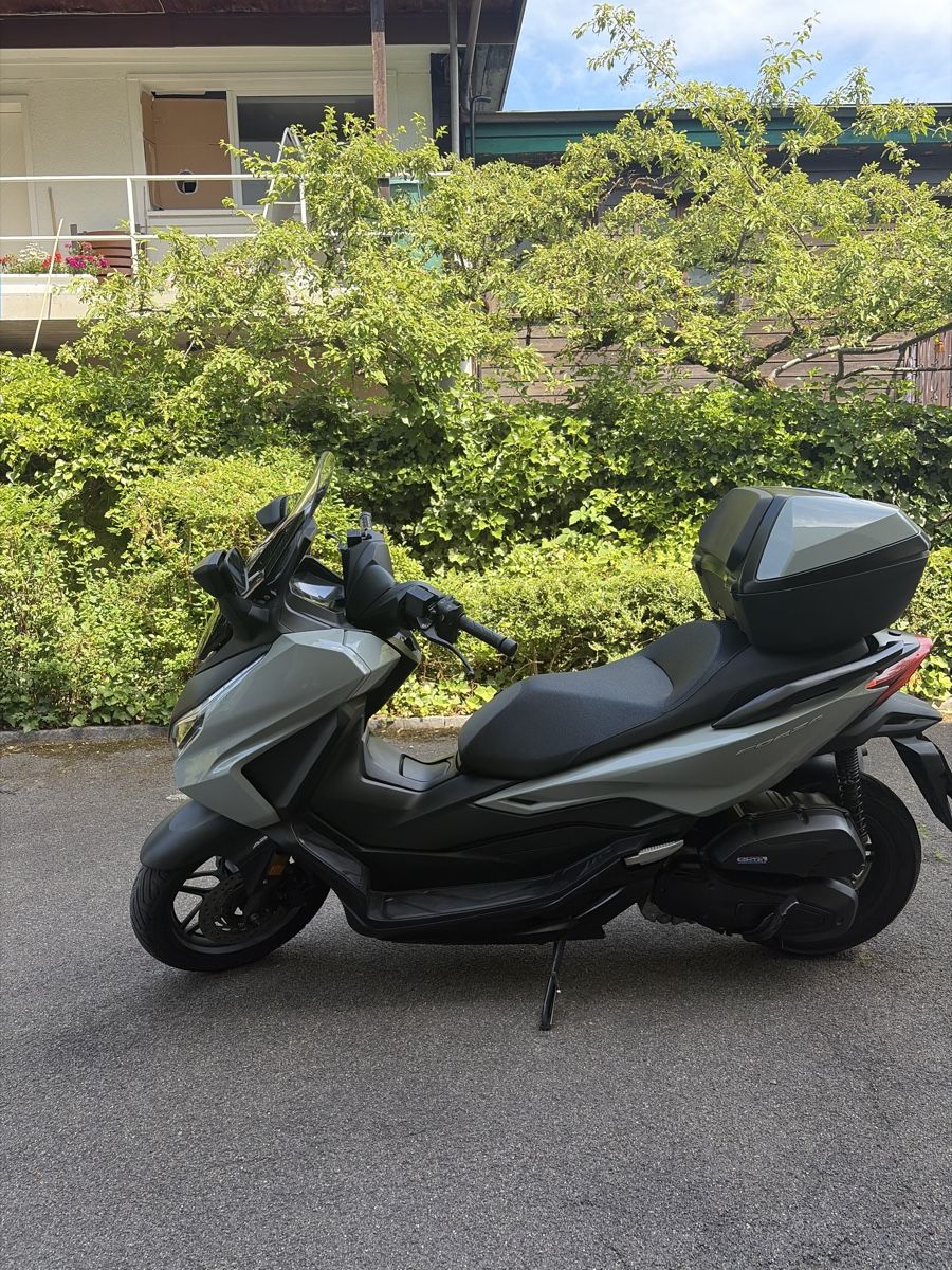 Honda Route: Honda Forza 125 Roller mit Topcase neuwertig – D'occasion à Zürich par inf_m5v5 1