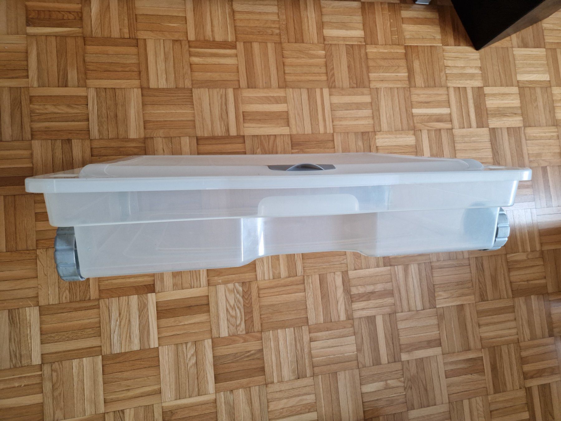 Rotho Contenitori & Simili: Unterbettbox mit Rollen von Rotho – Usato da Ursenbach venduto da Trasse 5
