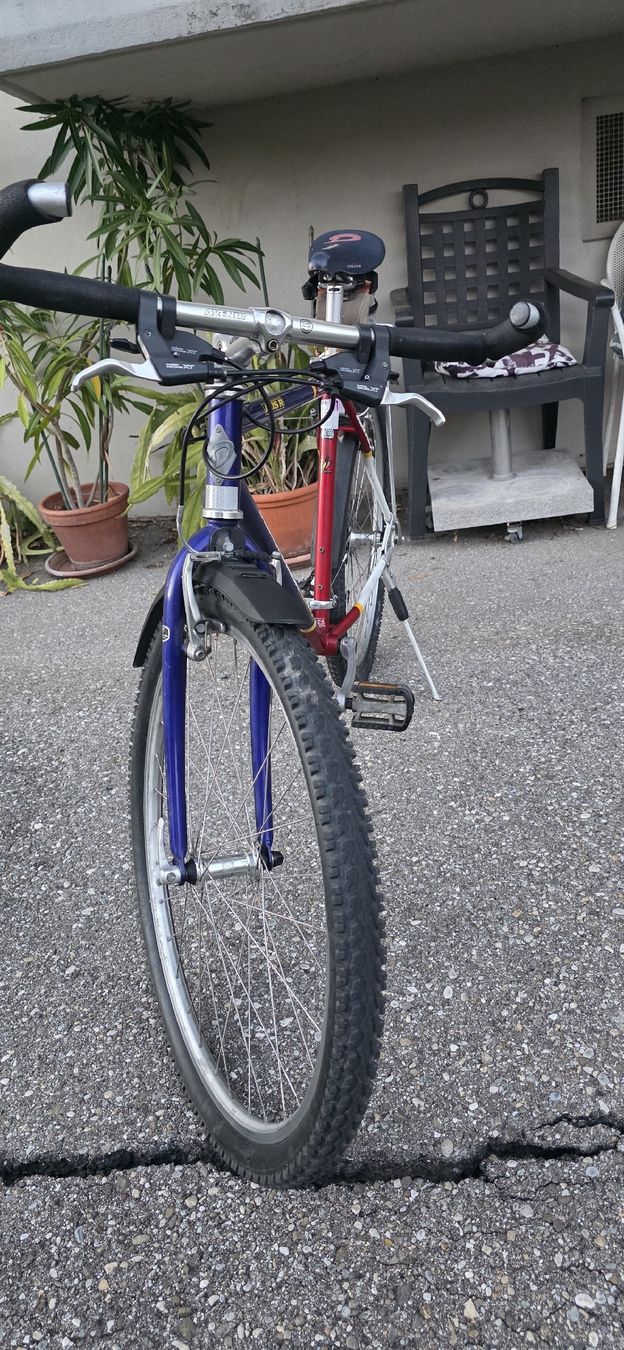 Biciclette: DIAMONDBACK  RACING 26 Zoll 48cm – Usato da Solothurn venduto da mar_8qf8 2