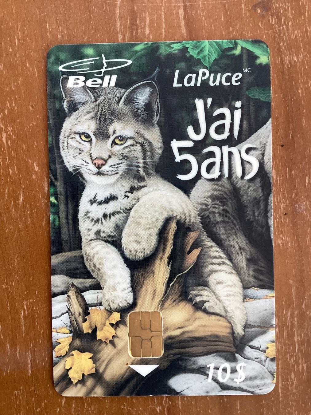 Schede telefoniche: Telefonkarte Kanada Katze – Usato da Zürich venduto da Tolima194