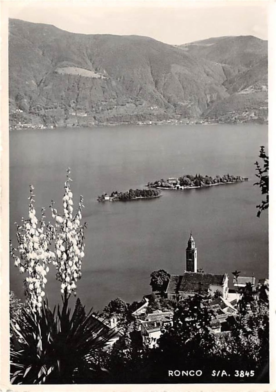 Cartes postales: Ronco sopra Ascona – D'occasion à Ottikon b.Kemptth. par Neptun1974