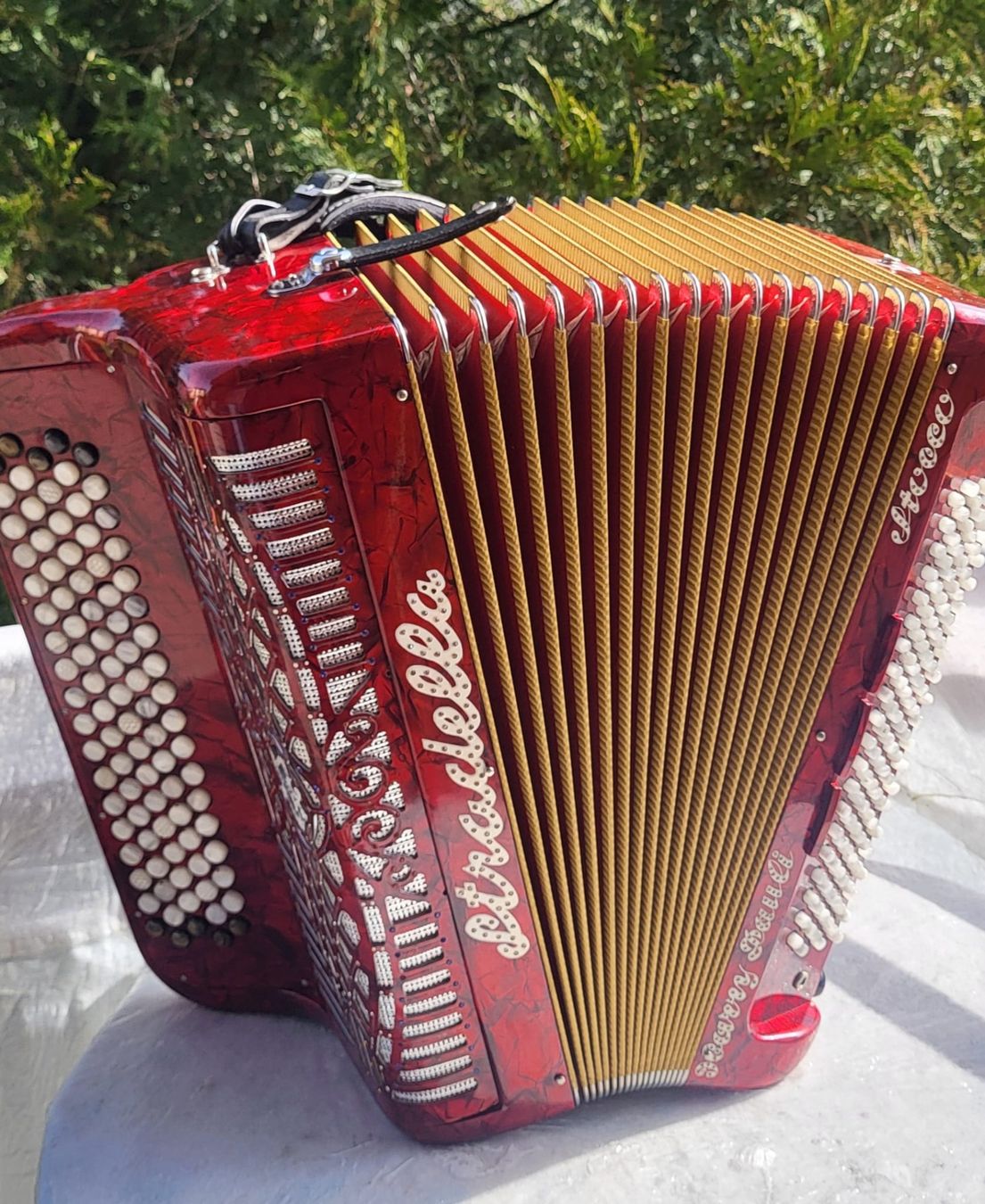 Strumenti musicali: Accordéon Stocco stradella  – Usato da Penthalaz venduto da EvandroLuz 1