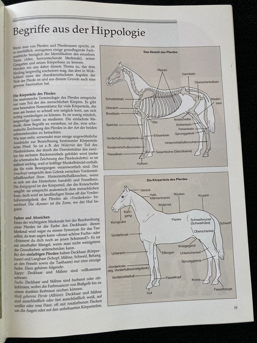 Libri: Das grosse Buch des Pferdes, Pferde, Reiten – Usato da Vinelz venduto da Viewfinder84 5