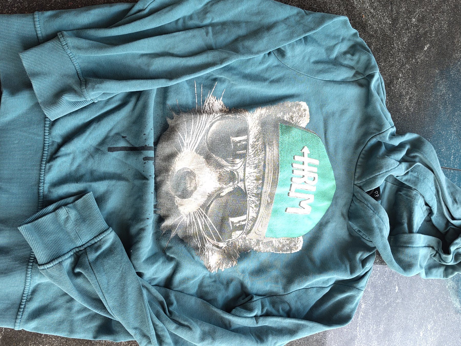 Maglioni & Felpe: 3 Pullover Grösse 158/164 Waschbär Ghostbusters Enjoy – Usato da Leuggern venduto da Pummi19 2