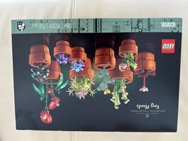 Lego Set ungeöffnet Tiny Plants Botanical Collection
