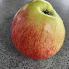 Profile image of Finz