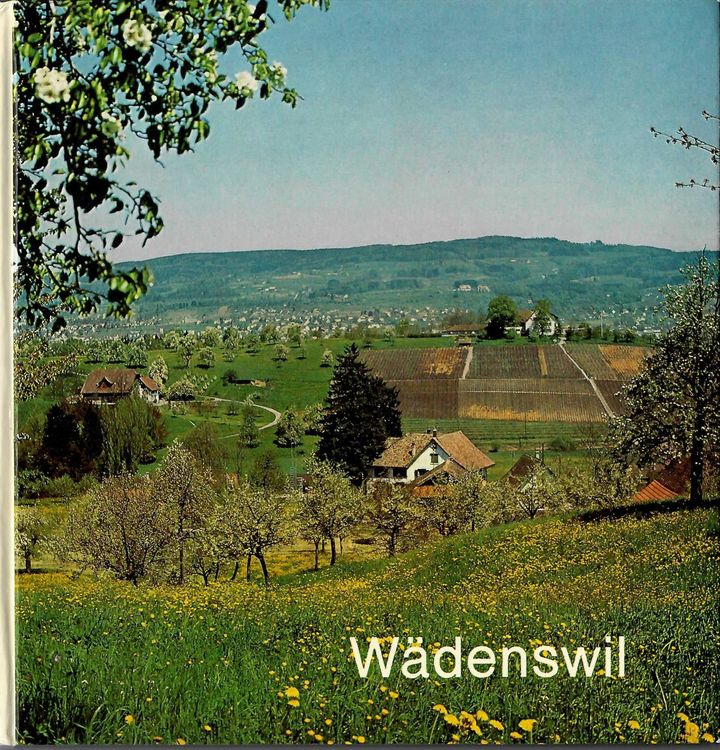 Wädenswil Bildband , 1970 | Kaufen auf Ricardo