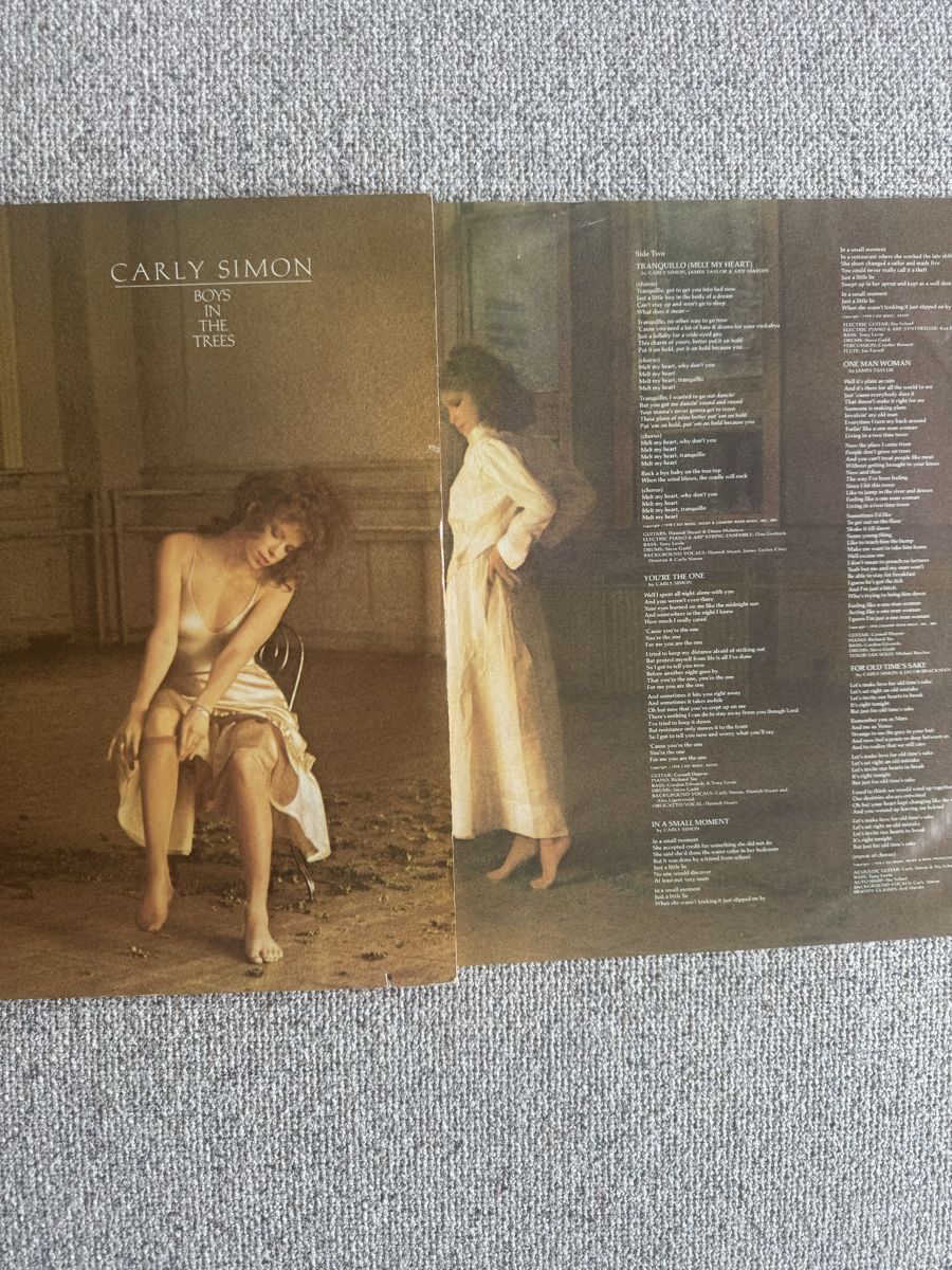 Schallplatten: Carly Simon - Boys In The Trees - LP - 70s – Gebraucht aus Rorbas von BlackstarRecords 3
