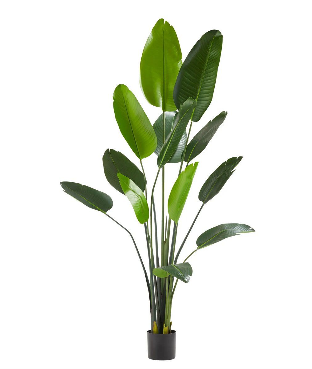 Piante & sementi: Künstlicher Paradiesvogelbaum Tropic 160 cm – Nuovo (secondo la descrizione) da Steinhausen venduto da Retourenprofis