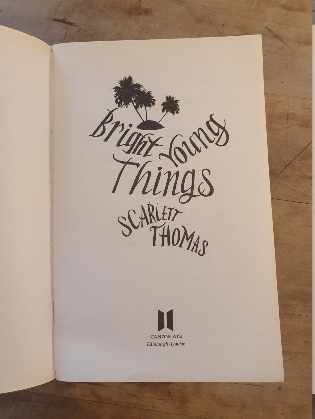 Libri: Bright Young Things Scarlett Thomas Canongate – Usato da Zürich venduto da loosebone 1