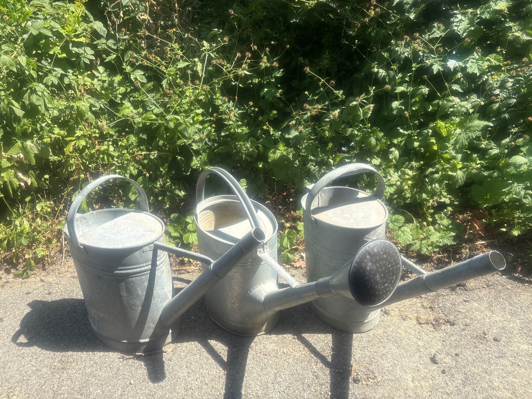 Annaffiatura & Irrigazione: Zinkkannen 3 Stück – Usato da Aarwangen venduto da kah_79t5