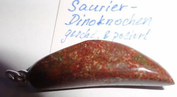 Anhänger: Anhänger Dino-Knochen als Zahn geschliffen ECHT – Neu (gemäss Beschreibung) aus Bleienbach von Mineral_Antik57 1