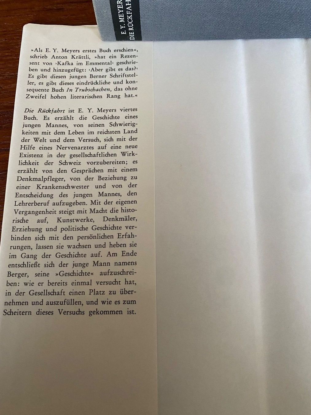 Libri: E. Y. Meyer Die Rückfahrt – Usato da Zürich venduto da 2013tg 3