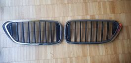 BMW Grill / Gitter
