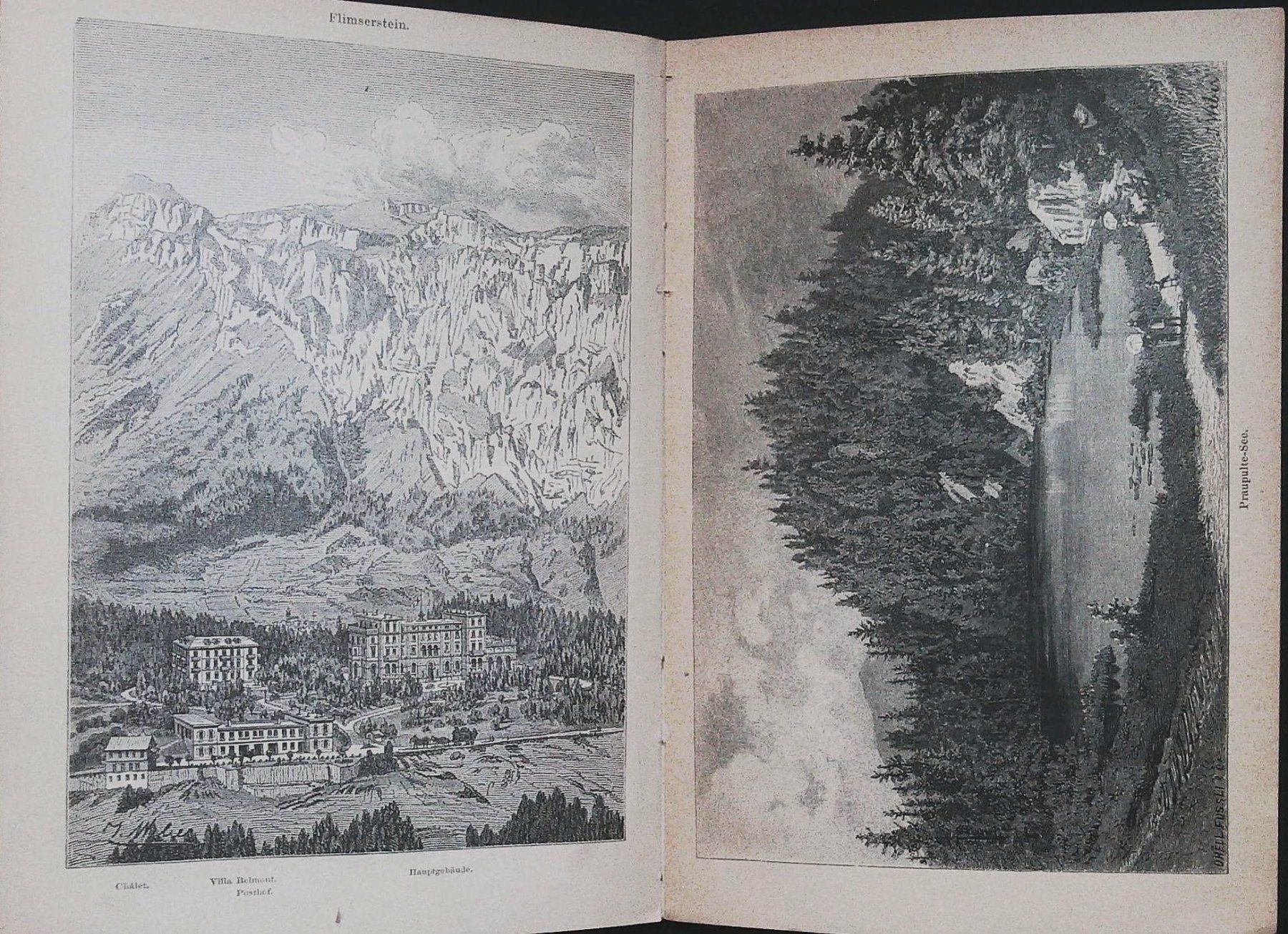 Libri: Flims Wanderbild um 1890 – Usato da Rafz venduto da Helvet32 5
