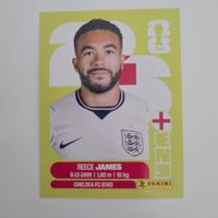 Panini Sticker Reece James ENG7
