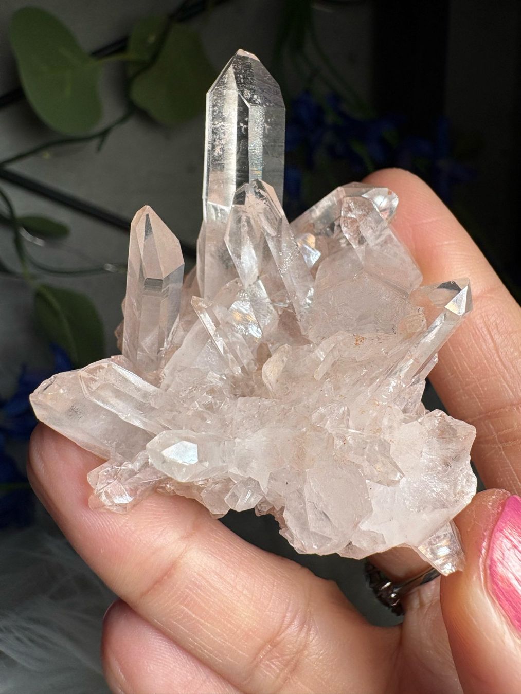 Minerali & Pietre curative: Rosa Quarz-Cluster – Nuovo (secondo la descrizione) da Neuheim venduto da m.hald 7