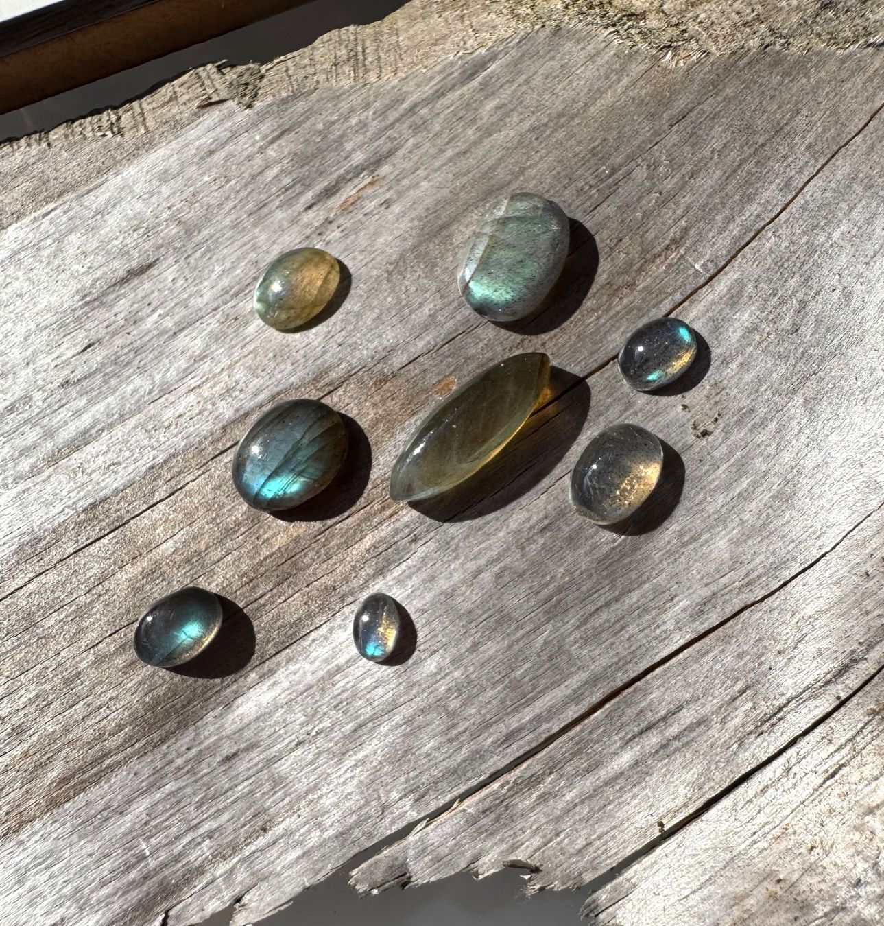 Pietre preziose: Labradorit Cabochons  ECHT!!!   top Farben/Glanz – Nuovo e nell'imballaggio originale da Leuggern venduto da gemshow 7