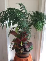 Plante artificielle magnifique, avec pot pierre de lave vol.